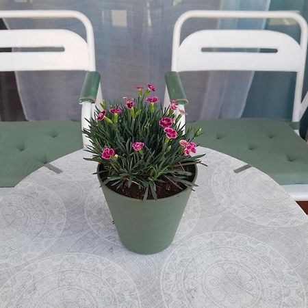 Apartmán Toki-Goxo Ezcaray Exteriér fotografie